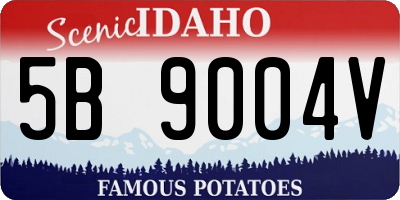 ID license plate 5B9004V