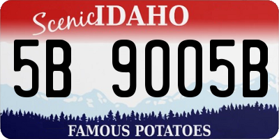 ID license plate 5B9005B