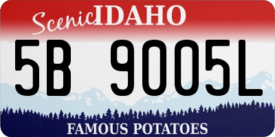 ID license plate 5B9005L