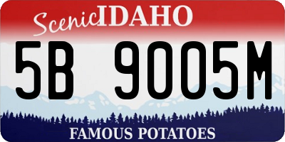 ID license plate 5B9005M