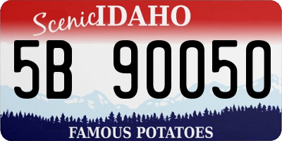 ID license plate 5B9005O