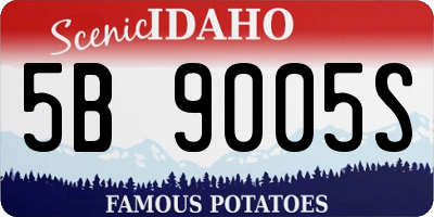 ID license plate 5B9005S