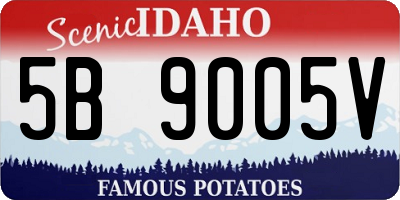 ID license plate 5B9005V