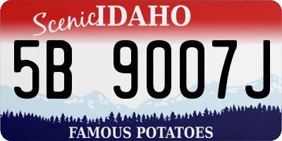 ID license plate 5B9007J