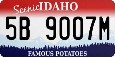 ID license plate 5B9007M