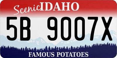 ID license plate 5B9007X