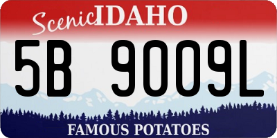 ID license plate 5B9009L