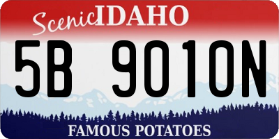 ID license plate 5B9010N