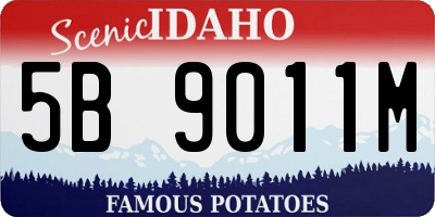 ID license plate 5B9011M