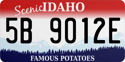 ID license plate 5B9012E