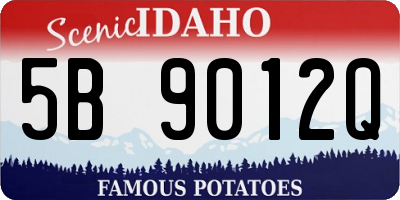 ID license plate 5B9012Q
