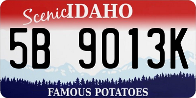 ID license plate 5B9013K