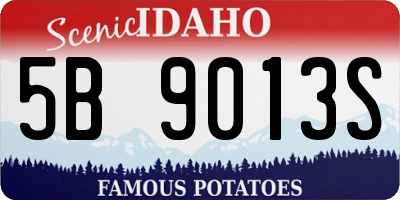 ID license plate 5B9013S