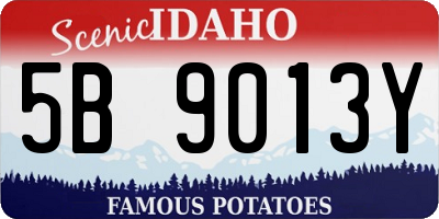 ID license plate 5B9013Y