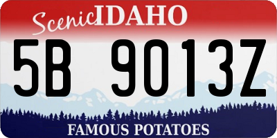 ID license plate 5B9013Z