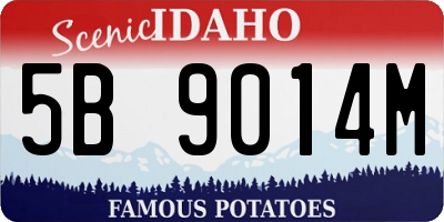 ID license plate 5B9014M