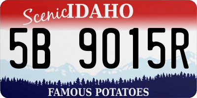 ID license plate 5B9015R