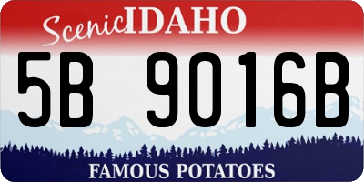 ID license plate 5B9016B