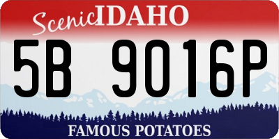 ID license plate 5B9016P