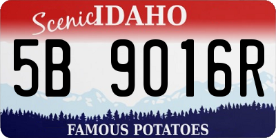 ID license plate 5B9016R