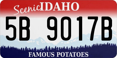 ID license plate 5B9017B