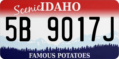 ID license plate 5B9017J
