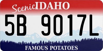 ID license plate 5B9017L