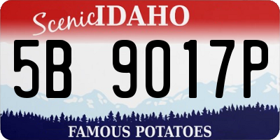 ID license plate 5B9017P