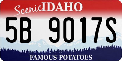 ID license plate 5B9017S