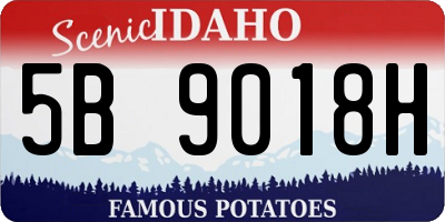 ID license plate 5B9018H