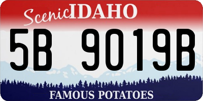 ID license plate 5B9019B