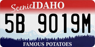 ID license plate 5B9019M
