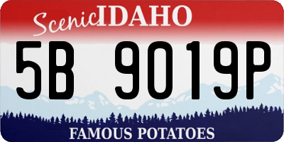 ID license plate 5B9019P