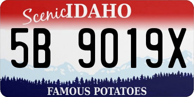 ID license plate 5B9019X
