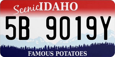 ID license plate 5B9019Y