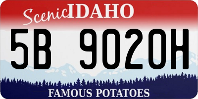 ID license plate 5B9020H