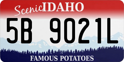 ID license plate 5B9021L
