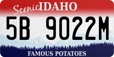 ID license plate 5B9022M