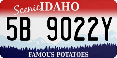 ID license plate 5B9022Y