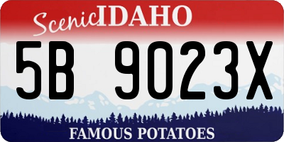 ID license plate 5B9023X