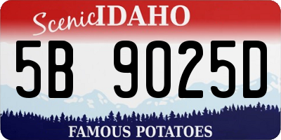 ID license plate 5B9025D