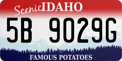 ID license plate 5B9029G