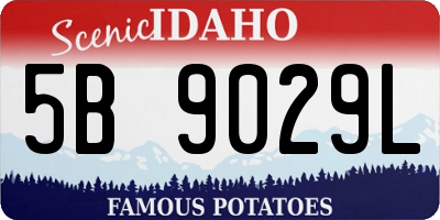 ID license plate 5B9029L