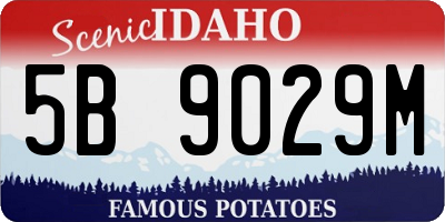 ID license plate 5B9029M