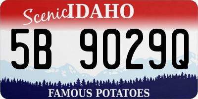 ID license plate 5B9029Q