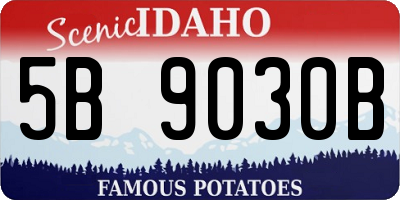 ID license plate 5B9030B