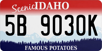 ID license plate 5B9030K