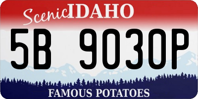 ID license plate 5B9030P