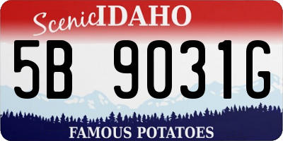 ID license plate 5B9031G