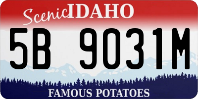 ID license plate 5B9031M